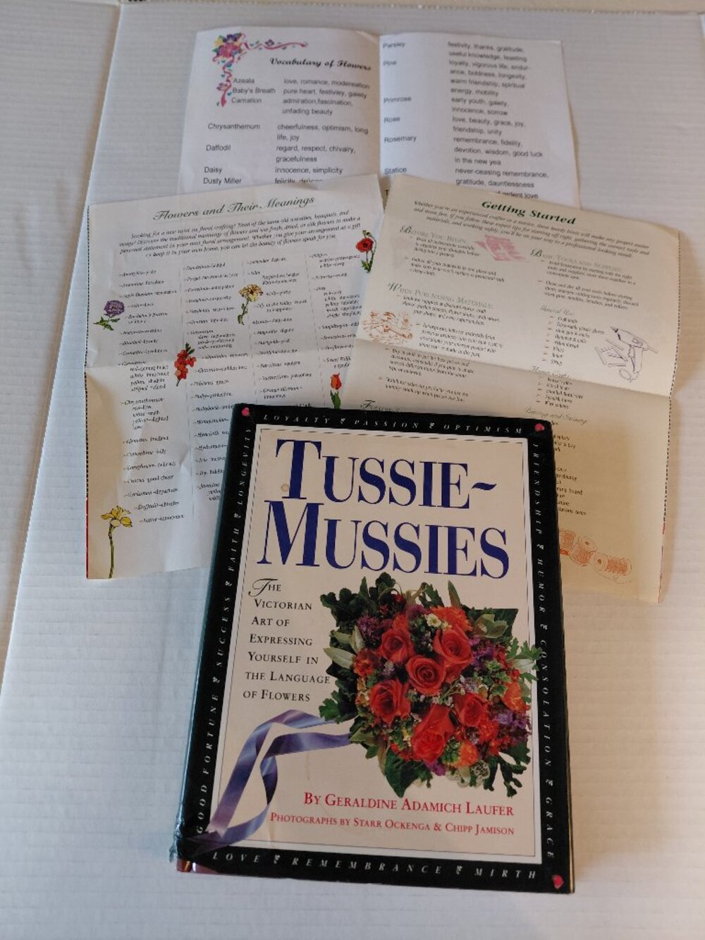 Tussis Mussies by Geraldine Admich Laufer